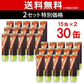 【最大4000円クーポン〜6/27】【365日出荷】「あす楽対応」【2箱セット】St.JAMES(セントジェームス)(30缶/120球)テニスボール 『即日出荷』