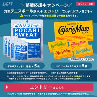 【全品10％OFFクーポン】対象のボールセットを18,000円以上購入+エントリーで選べるプレゼントキャンペー…