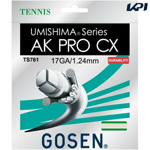 GOSEN�i�S�[�Z���j�u�E�~�V�}�@AK�v��CX17�vTS761 �d���e�j�X�X�g�����O�i�K�b�g�j�yKPI�z