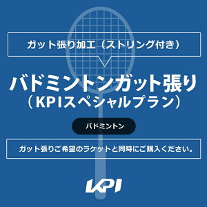 �o�h�~���g���K�b�g����iKPI�X�y�V�����v�����j kpi-special-b-gut �K�b�g���� �H���{�K�b�g