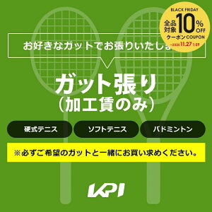 ySi10%OFFN[|zP[s[AC KPI ejX̑ ejXE\tgejXEoh~gΉ@KbgiĤ݁j kpi-special-gut Kbg