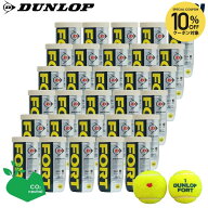 【10％OFFクーポン対象】【SDGsプロジェクト】「KPIオリジナルモデル」「新パッケージ」DUNLOP（ダンロッ…