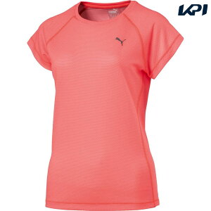 woׁxv[} PUMA EFlXEFA fB[X ADAP THERMO-R TVc 516123-02 uSSEFAv y^CZ[z