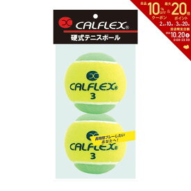 【全品10％OFFクーポン▼】サクライ貿易 テニステニスボール ノンプレッシャー・ツートンカラー硬式テニスボール　2P LB-450YLxGR