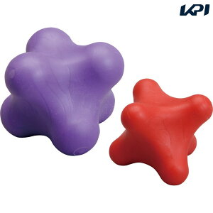 n^ HATAS }`SPANZT[ Zs[|bh召Zbg TCE502