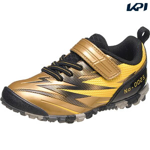 ASAHI ATqV[Y WjA |P P109 GD KC66572