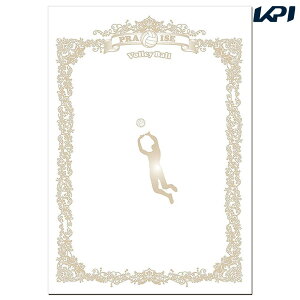 jbNX }`SP̑ X|[cڕʏ܏p o[{[ FD13-85