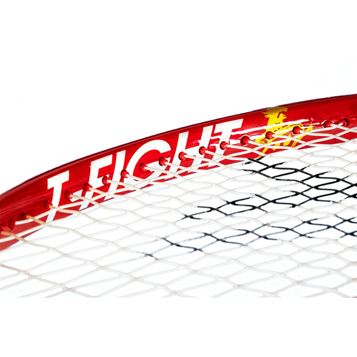 楽天市場】【10％OFFクーポン対象】テクニファイバー Tecnifibre 硬式