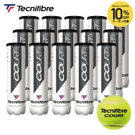 『即日出荷』テクニファイバー Tecnifibre テニスボール COURT（コート）4個入 1箱（15缶/60球） TBA4CT1