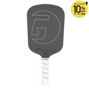 �y10��OFF�N�[�|���Ώہz�K���} GAMMA �s�b�N���{�[���p�h�� PICKLEBALL PADDLE RCF OBSIDIAN 10 1E805702