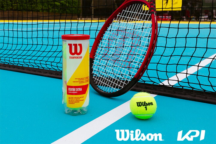 世界の人気ブランド ウイルソン Wilson テニスボール Championship Extra Duty チャンピオンシップ エクストラデューティー 3球入 2箱 48缶 144球 Wrt Fucoa Cl