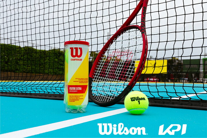 Wilson ウイルソン チャンピオンシップエクストラデューティー 1箱 3球入×24缶=72球 WRT100101 テニスボール 11月上旬 ...