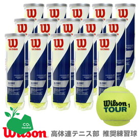 【SDGsプロジェクト】Wilson(ウイルソン)「TOUR STANDARD（ツアー・スタンダード） 1箱（15缶） WRT103800」テニスボール