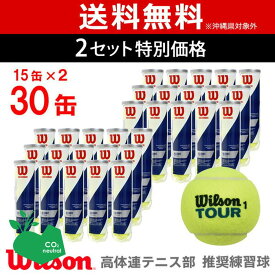 【SDGsプロジェクト】【2箱セット】Wilson(ウイルソン)【TOUR STANDARD（ツアー・スタンダード） (15缶×2=120球) WRT103800】テニスボール