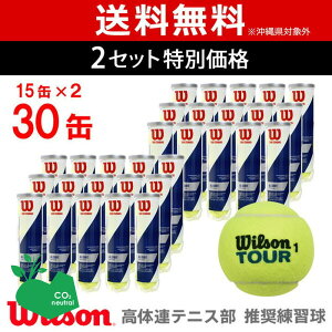 ySDGsvWFNgzy2ZbgzWilson(EC\)yTOUR STANDARDicA[EX^_[hj (15×2=120) WRT103800zejX{[woׁx