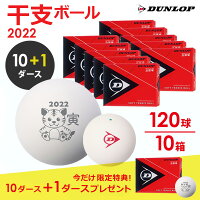 「あす楽対応」ダンロップDUNLOPソフトテニスボール干支ボール2022年「寅」公認球10ダース(120球入)DSTBETO2DOZ軟式『即日出荷』