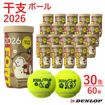 楽天市場】テニスボール 30缶の通販
