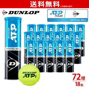 ダンロップ テニスボール テニス用品の通販 価格比較 価格 Com ダンロップ テニスボール テニス用品の通販 価格比較 価格 Com