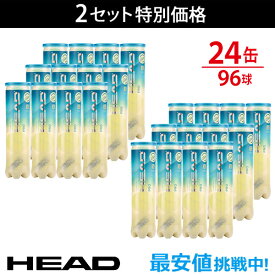 HEAD(ヘッド)「HEAD PRO（ヘッドプロ）4球入り2箱(24缶/96球） 571714」テニスボール