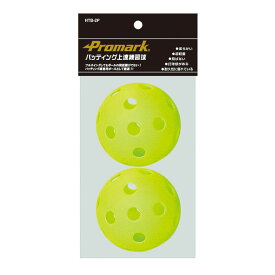 プロマーク PROMARK 野球ボール バッティング上達練習球　2P HTB-2P