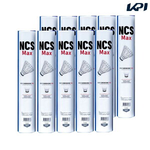 �r�N�^�[ VICTOR �o�h�~���g���V���g���R�b�N �J�[�{���V���g���@�}�b�N�X 10�_�[�X NCSMAX-10