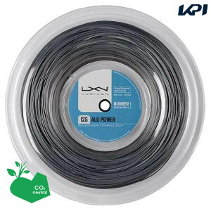�ySDGs�v���W�F�N�g�zLUXILON(���L�V����)�uBIG BANGER ALU POWER(�A���p���[) 220m���[�� WRZ990100SI�v�e�j�X�X�g�����O�i�K�b�g�j