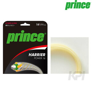 Prince�i�v�����X�j�uHARRIER POWER�i�n���A�[ �p���[�j 7JJ019�v�d���e�j�X�X�g�����O�i�K�b�g�j�ykpi24�z �d���e�j�X�@�X�g�����O