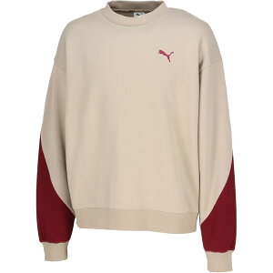 v[} PUMA }`SPEFA Y CORE HERITAGE MX N[XEFbg 690137 2025FW