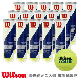 【SDGsプロジェクト】Wilson(ウイルソン)「TOUR STANDARD（ツアー・スタンダード） 1箱（15缶） WRT103800」テニスボール
