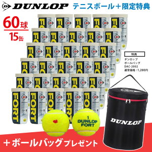 �uKPI�I���W�i�����f���vDUNLOP�i�_�����b�v�j�uFORT�i�t�H�[�g�j[2��]1���i30��/60���j+�{�[���o�b�O DAC-2002 2�_�Z�b�g�w�����o�ׁx
