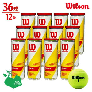 ySDGsvWFNgzWilson(EC\)uCHAMPIONSHIP EXTRA DUTYi`sIVbvGNXgf[eB[j 1i3×12=36j WRT100101vejX{[ woׁx