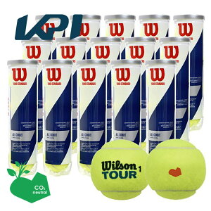 �ySDGs�v���W�F�N�g�z�uKPI�I���W�i�����f���vWilson �E�C���\�� TOUR STANDARD �c�A�[�E�X�^���_�[�h 1���i15�ʁj WRT103800 �e�j�X�{�[�� �yKPI����z�w�����o�ׁx