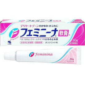 【第2類医薬品】フェミニーナ軟膏S30g