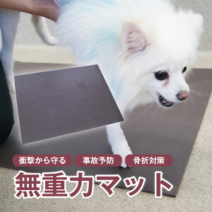 Ռud̓}bgv@ܑ΍@̗\h@a@̗pi@@V@VjA