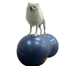 犬用バランスボール　アプリアピーナッツボールプラス　【動物理学療法士開発】動物理学リハビリ国際協会認定　わんちゃんの為の筋トレグッズ　　筋トレ　筋肉　足腰　老犬　シニア犬 　高齢犬