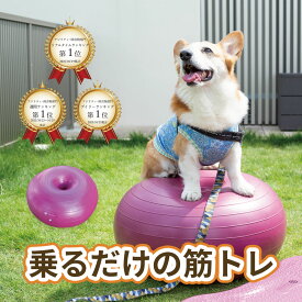 【ランキング1位！】犬用バランスボール　アプリアドーナッツボールプラス　【動物理学療法士開発】動物理学リハビリ国際協会認定　わんちゃんの為の筋トレグッズ　　筋トレ　筋肉　足腰　老犬　シニア犬 　高齢犬