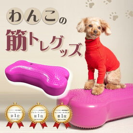 【ランキング1位！】犬用バランスボール　アプリアバランスボーン【動物理学療法士開発】動物理学リハビリ国際協会認定 　犬用　バランスボール　筋トレ　筋肉　足腰　老犬　シニア犬 　高齢犬　健康維持 アジリティ