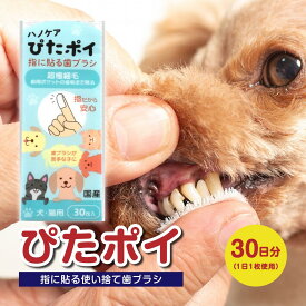 【ランキング1位】指に貼る歯ブラシ ぴたポイ 30枚入り
