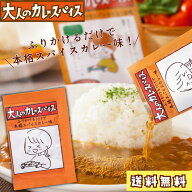 大人のカレースパイス 送料無料 【公式】 カレー 本格 スパイス 20種 無添加 スパイスカレー 家庭内カレ…