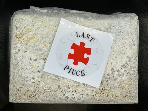 yzt@~A Xgs[X ubN 3500cc ێ IIq^P X}gpɁI ^cɁI