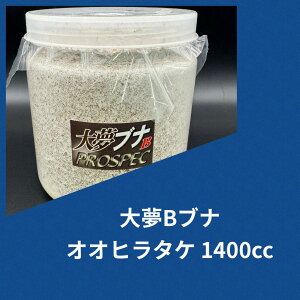 yz喲Bui IIq^P 1400cc ێ IIq^P cɁI ^ёI KPW NK^ JugV