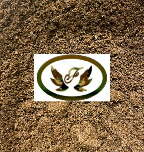 yzt@~AV\}bg 10L YZbg y}bg q^NK^ q^YZbg̐V KPW