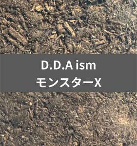 yzX^[X IKy 10L(IK40%z) YZbg y}bg I D.D.A ^ڎwȂI KPW NK^ JugV