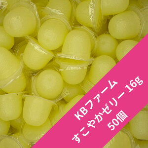 yzy50z₩[[ 16g [[ KBt@[ xɍœKI u[_[pI ws ŒZŒZ