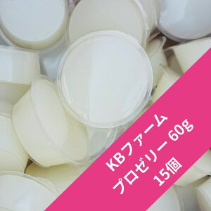 yz y15z v[[ 60g [[ KBt@[ ^pNIu[hɍœKI u[_[pI KPW NK^ JugV ws ŒZŒZ