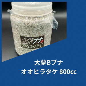 yz喲Bui IIq^P 800cc ێ IIq^P cɁI ^ёI