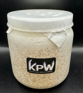 yz KPWIWi IIq^Pێ{g 1400cc ێ cɁI ^oёI KPW NK^ JugV