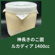 【送料無料】ルカディア ボトル 1400cc 菌糸 カワラタケ タランドゥスといえばこれ！ 幼虫飼育に！ 大型…