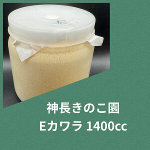 yzEJ {g 1400cc ێ J^P EbfB⃍[[ɂI cɁI KPW NK^ JugV