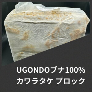 yzUGONDO ui100% ubN3500cc@J^Pێ EGXgEbfB̒ԁI KPW NK^ JugV